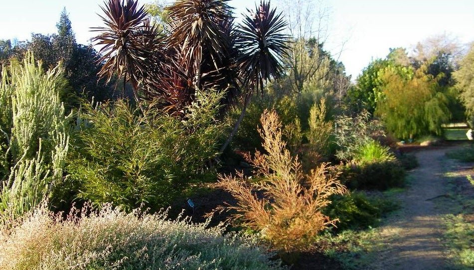 Markham Regional Arboretum, United States